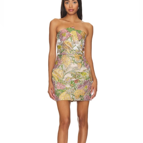 Revolve Elliatt Patricia dress xl - Picture 1 of 6